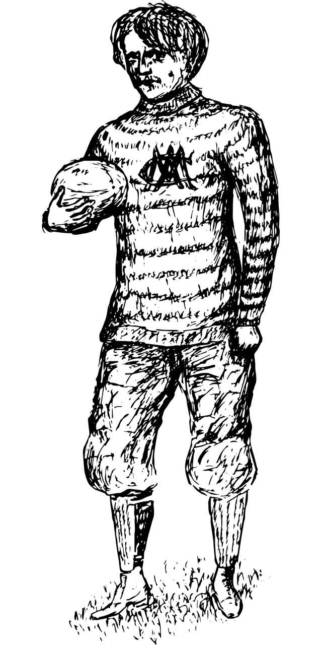 宜春最新新闻报道概览，最新动态与新闻概览
